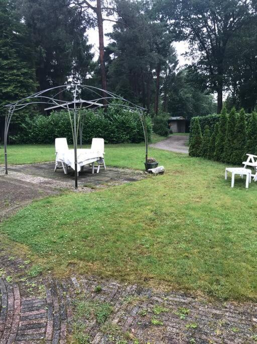Sfeervol Chalet In Drenthe Bij Het Dwingelderveld Villa Spier Esterno foto