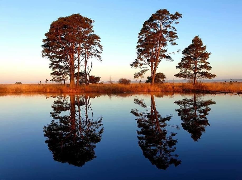 Sfeervol Chalet In Drenthe Bij Het Dwingelderveld Villa Spier Esterno foto