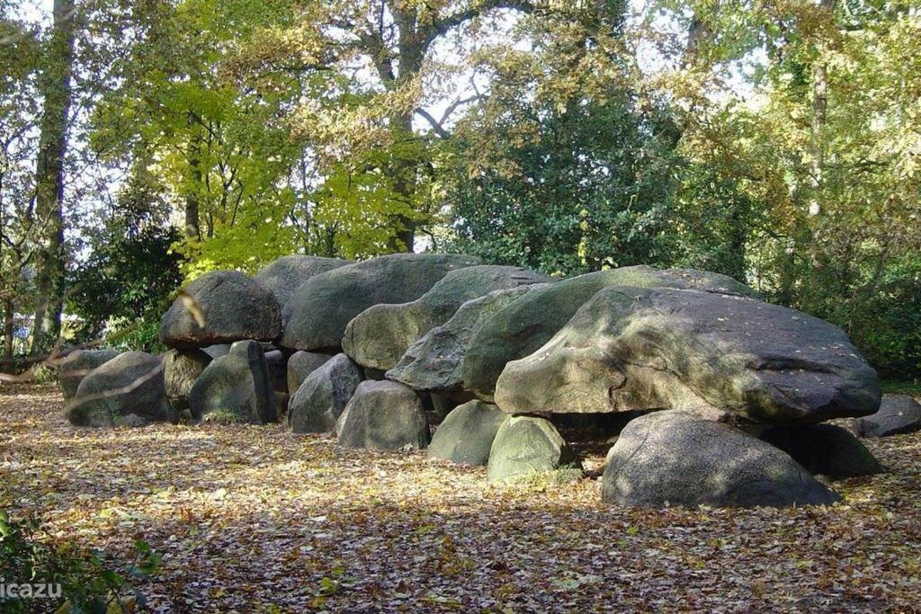 Sfeervol Chalet In Drenthe Bij Het Dwingelderveld Villa Spier Esterno foto