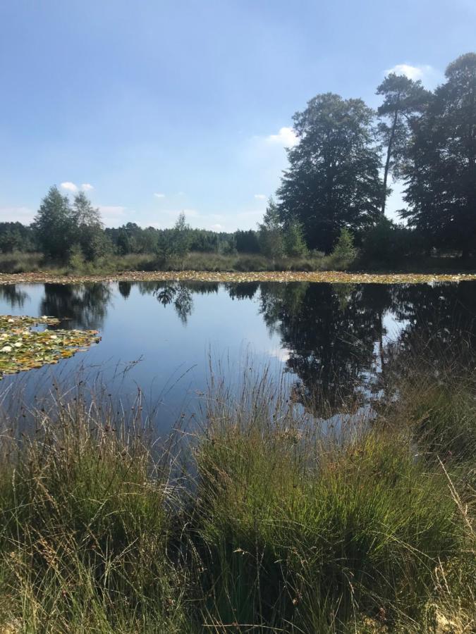 Sfeervol Chalet In Drenthe Bij Het Dwingelderveld Villa Spier Esterno foto