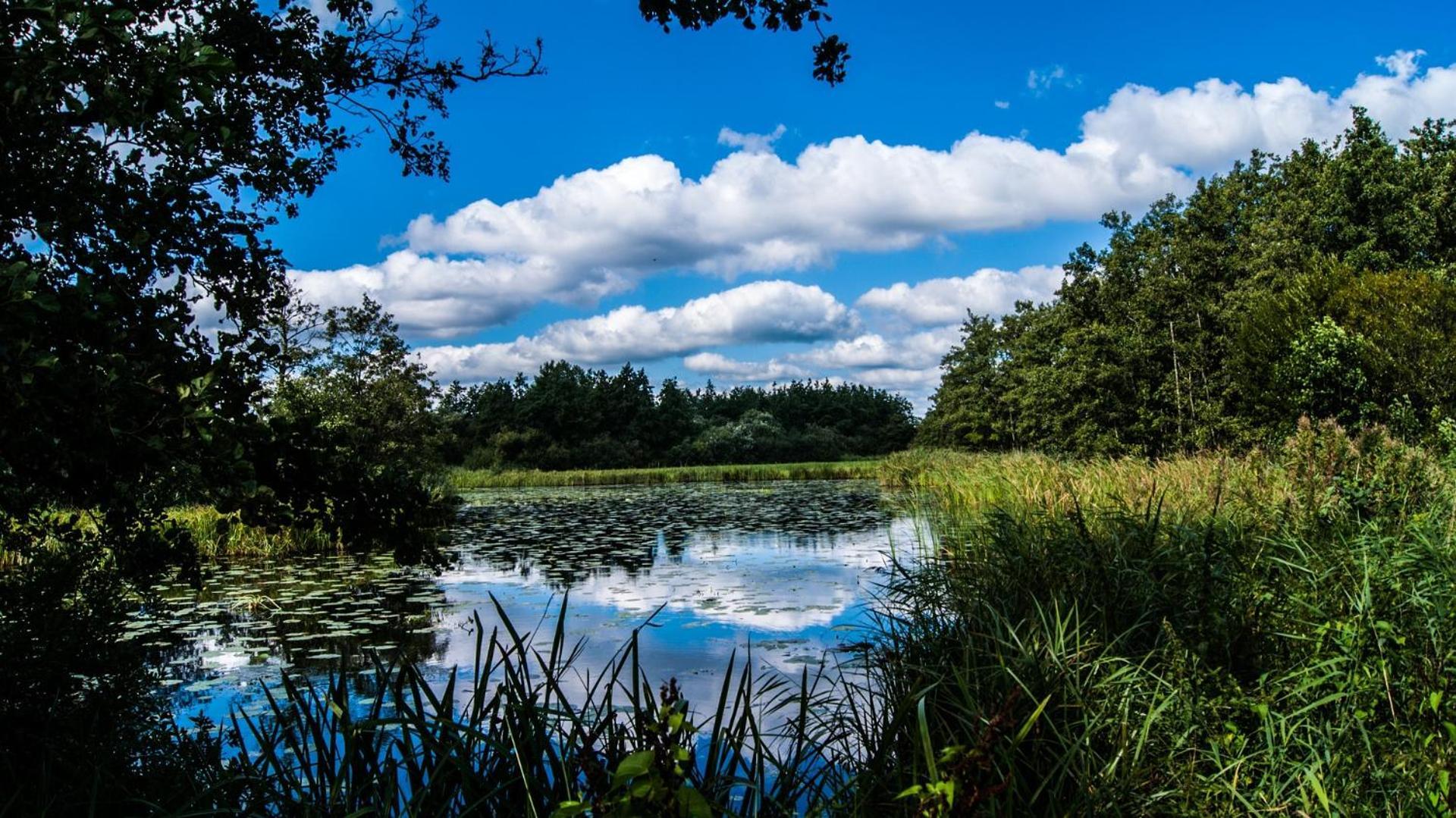 Sfeervol Chalet In Drenthe Bij Het Dwingelderveld Villa Spier Esterno foto